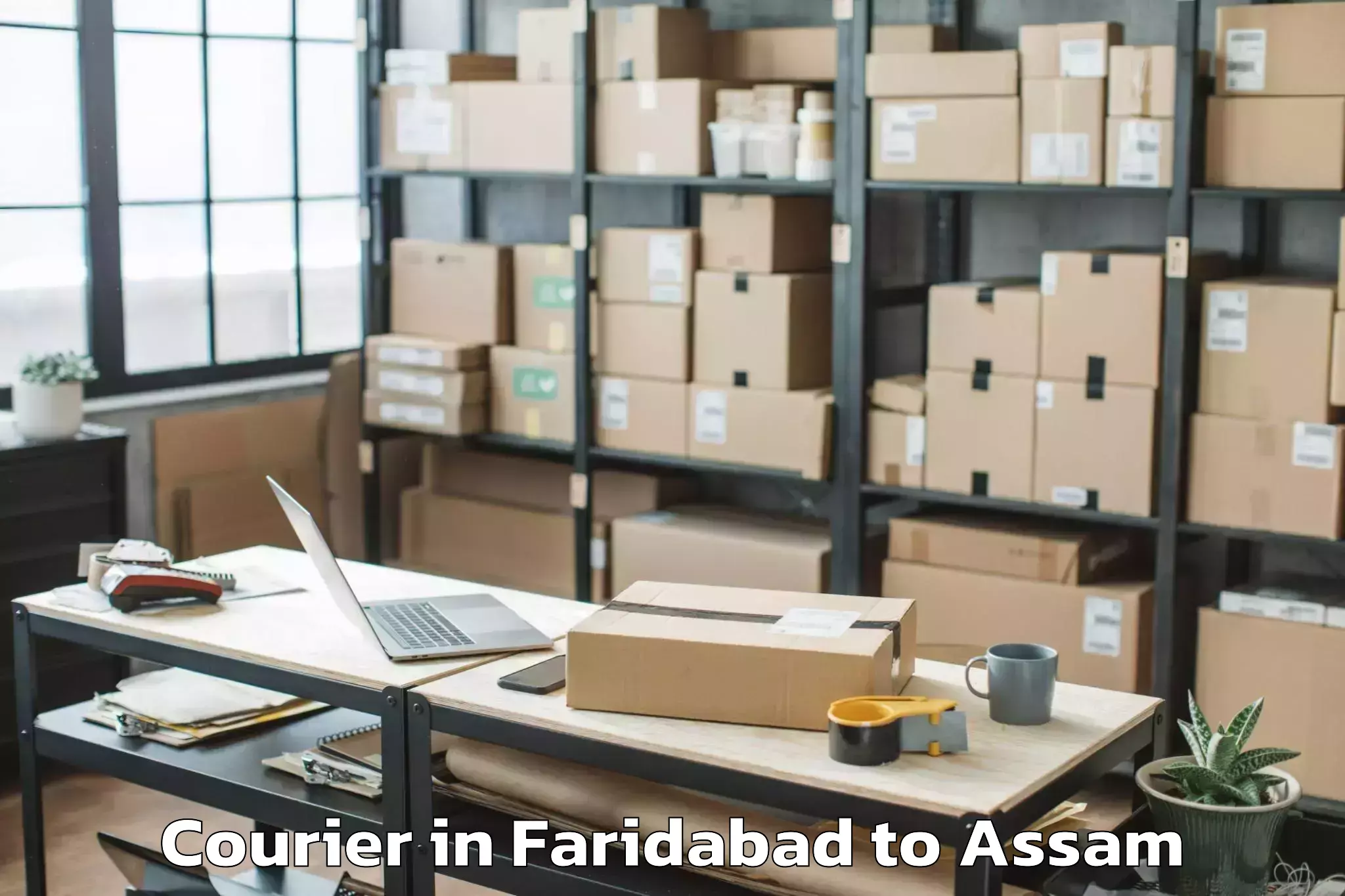 Comprehensive Faridabad to Srimanta Sankaradeva Universit Courier